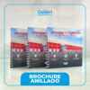 BROCHURE-CORPORATIVO-ANILLADO BROCHURE-CORPORATIVO-ANILLADO, TAPA DURA ANILLADO DOBLE RING HOJAS COUCHÉ PLASTIFICADO MATE ABIERTO Y CERRADO A4