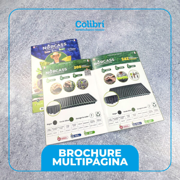 BROCHURE-CORPORATIVO-SECTORIZADO-MULTIPÁGINA BROCHURE-CORPORATIVO-SECTORIZADO-MULTIPÁGINA COUCHÉ DE 125GR, TAPAS DE FOLCOTE SECTORIZADO Y LAMINADO MATE