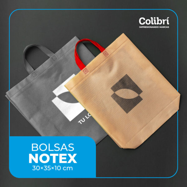 Bolsas de Notex 30x35x10 cm (con Fuelle)